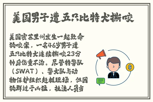 国产一国产一**